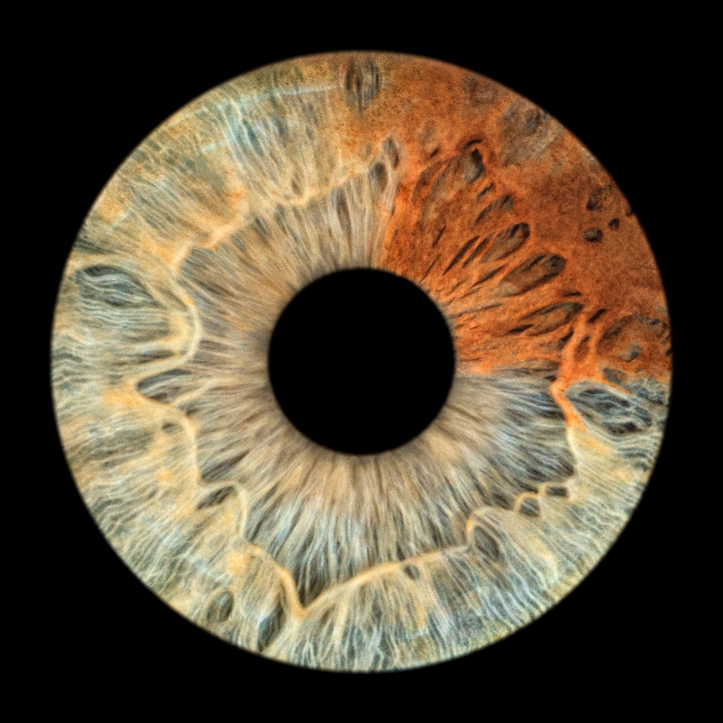 Ogen Fotografie – Digitale Irisfoto