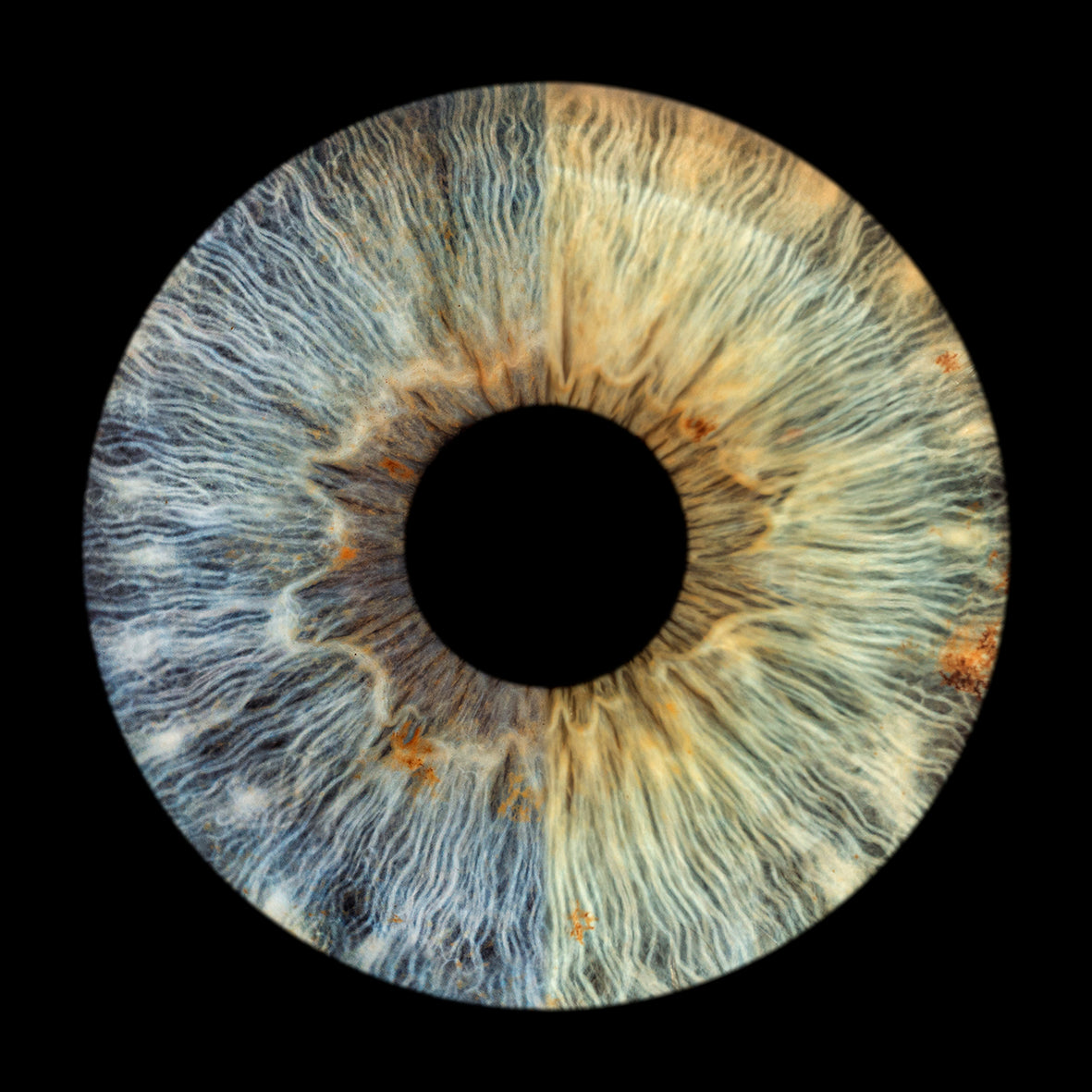 Ogen Fotografie – Digitale Irisfoto