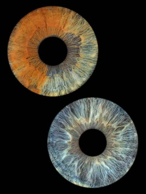 Ogen Fotografie – Digitale Irisfoto