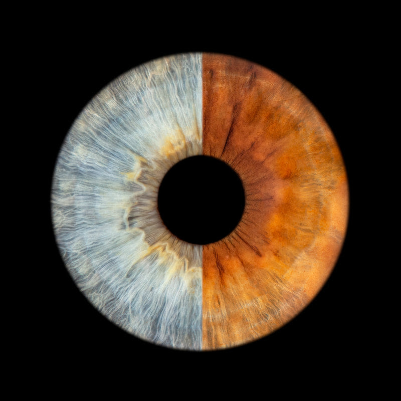 Ogen Fotografie – Digitale Irisfoto
